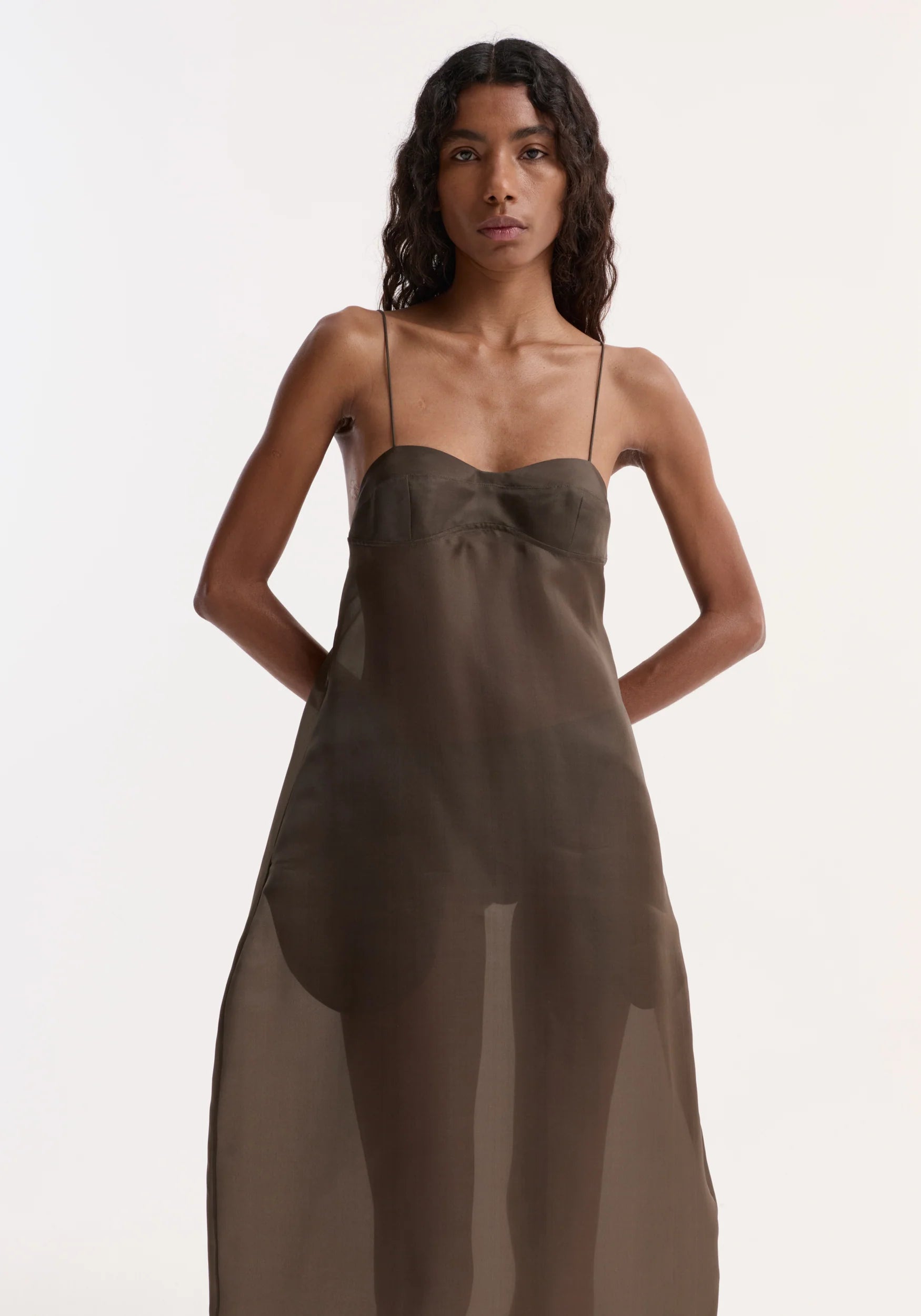 Róhe Sheer Bustier Volume Dress | Earth