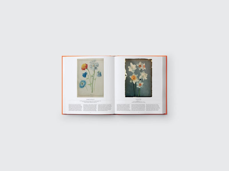 Flower: Exploring the World in Bloom Book