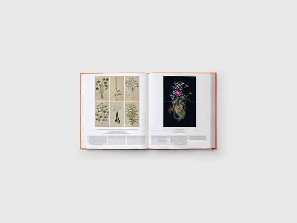 Flower: Exploring the World in Bloom Book