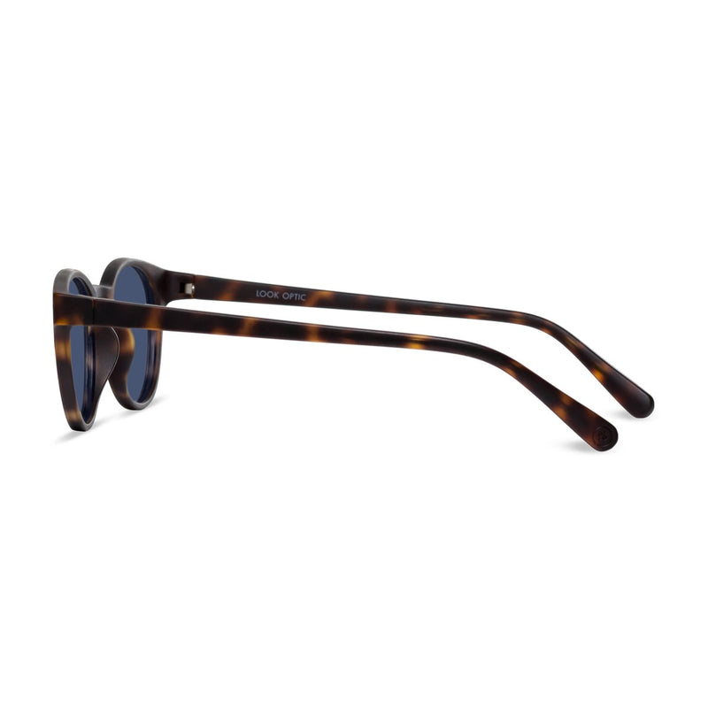 Abbey - Sunglasses